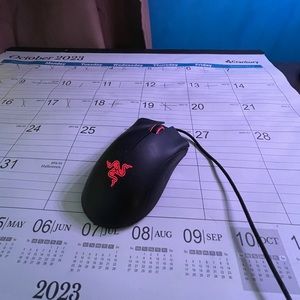 Razer Mouse